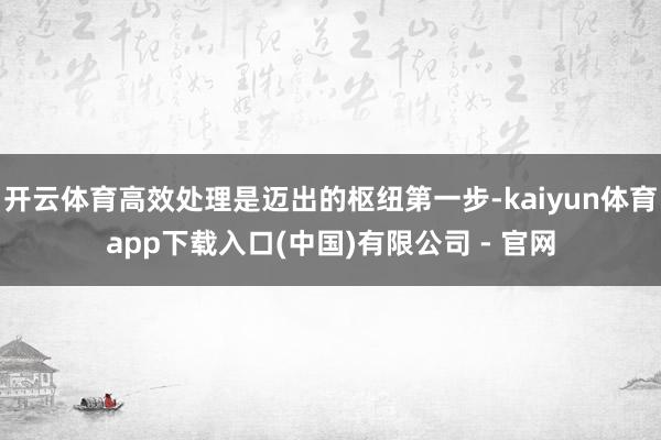 开云体育高效处理是迈出的枢纽第一步-kaiyun体育app下载入口(中国)有限公司 - 官网