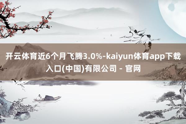 开云体育近6个月飞腾3.0%-kaiyun体育app下载入口(中国)有限公司 - 官网