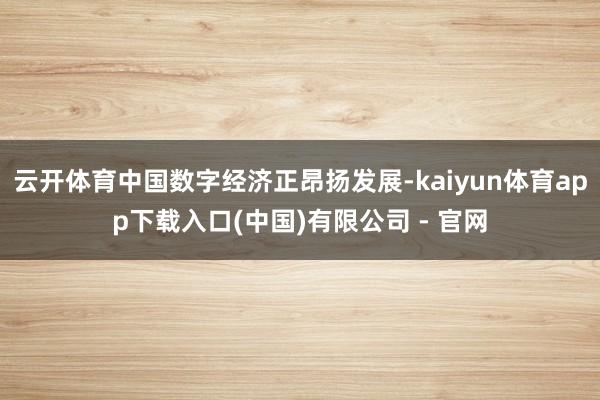 云开体育中国数字经济正昂扬发展-kaiyun体育app下载入口(中国)有限公司 - 官网