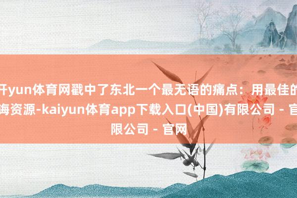 开yun体育网戳中了东北一个最无语的痛点：用最佳的教诲资源-kaiyun体育app下载入口(中国)有限公司 - 官网
